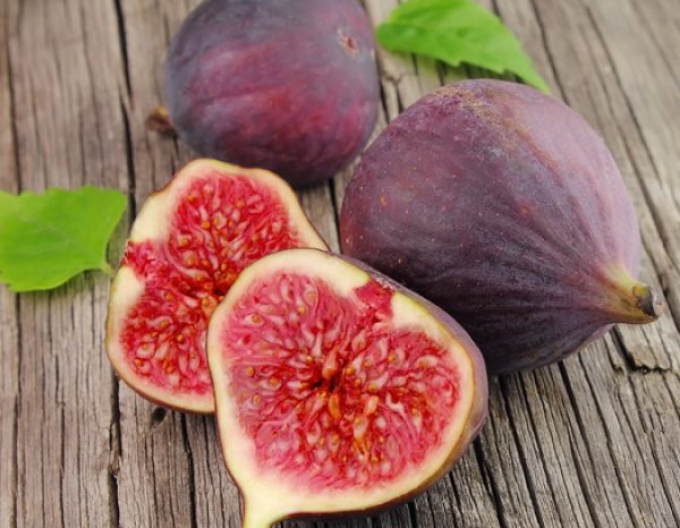 Fic rezistent Francuesco