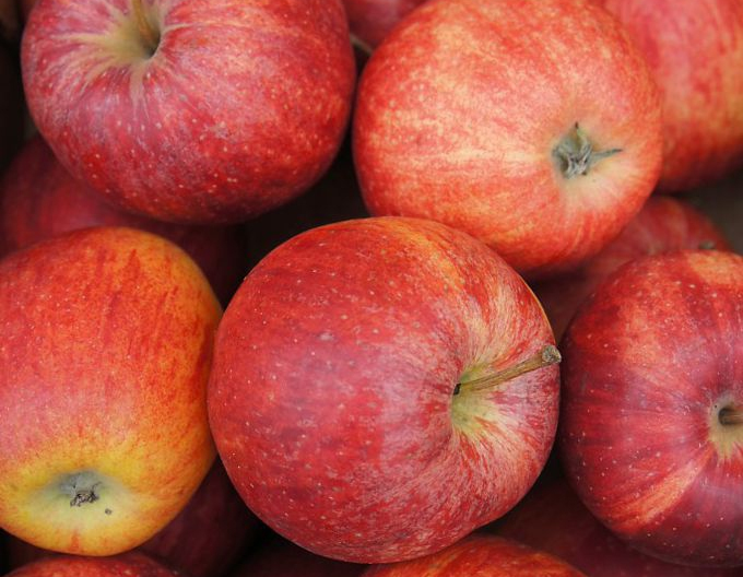 Măr Gala Mitchgla toamnă 5l