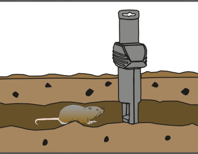 Capcană pentru vulpi Swiss Inno Super Cat