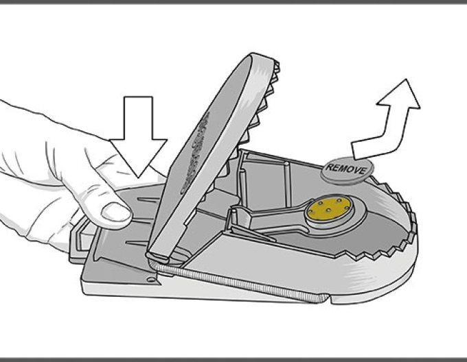 Capcană pentru șobolani Swiss Inno Super Cat