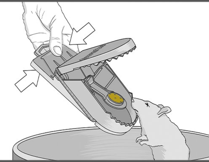 Capcană pentru șobolani Swiss Inno Super Cat