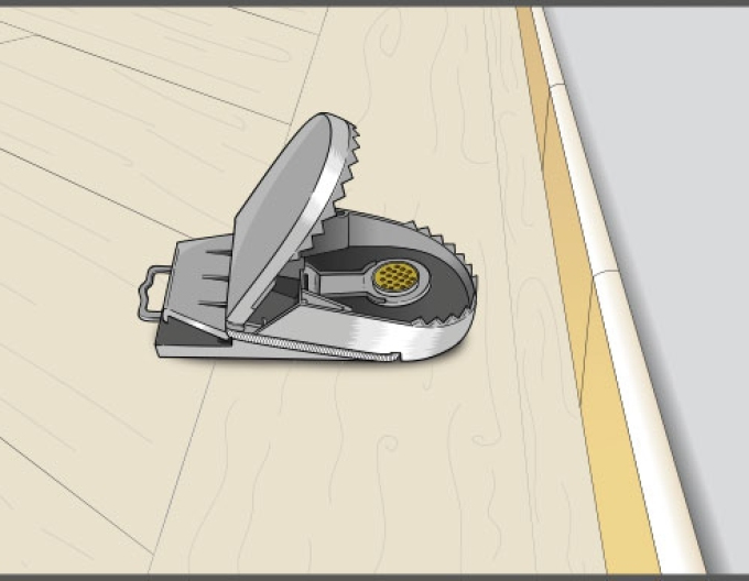 Capcană pentru șobolani Swiss Inno Super Cat