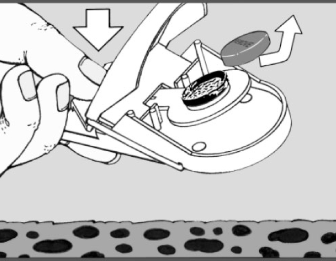 Swiss Inno Super Cat Mousetrap o pereche