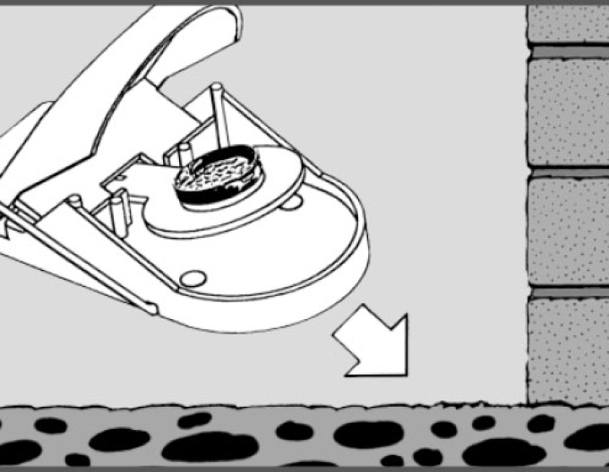 Swiss Inno Super Cat Mousetrap o pereche