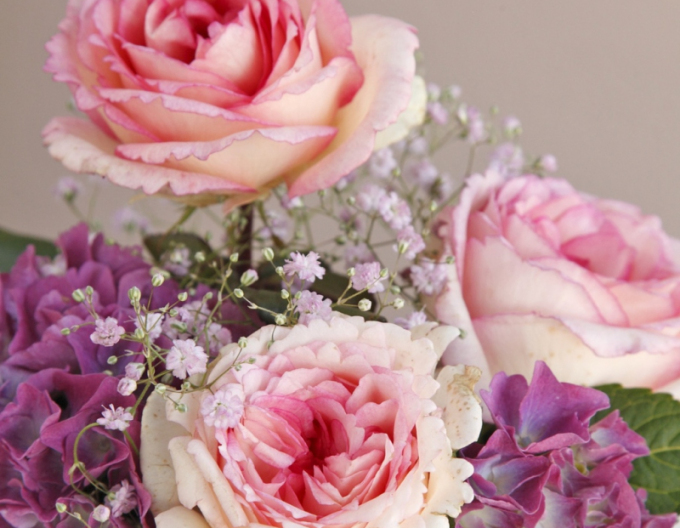 Trandafir´Suovenir de Baden Baden