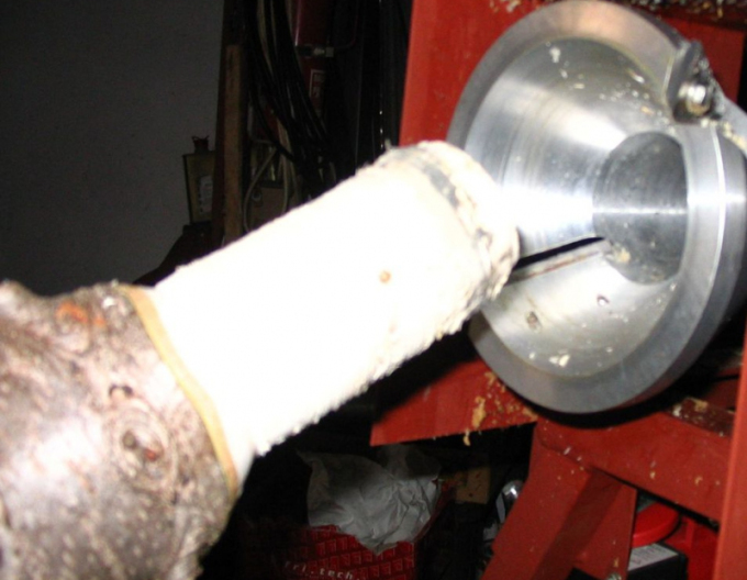 Fasonarea trunchiurilor