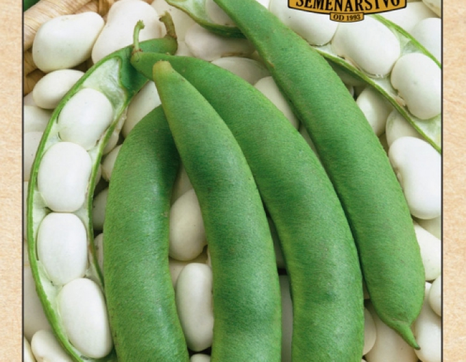 Fasole  pitică ´Kontra´