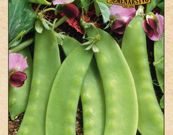 Mazăre de zahăr ´Carouby´