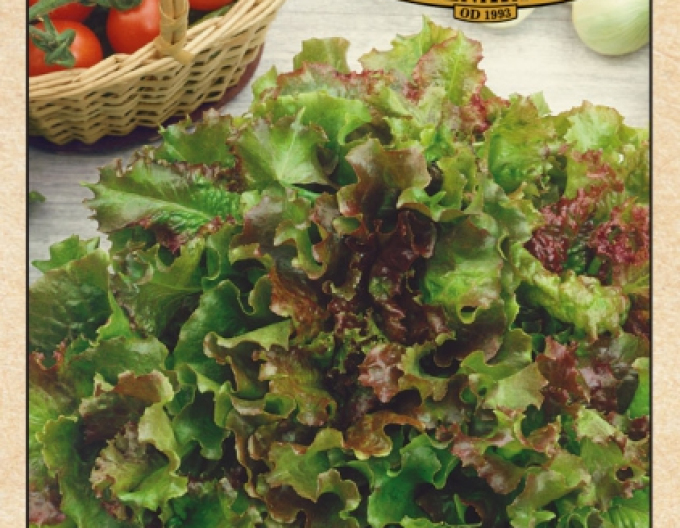 Salată frunze Biscia Rossa