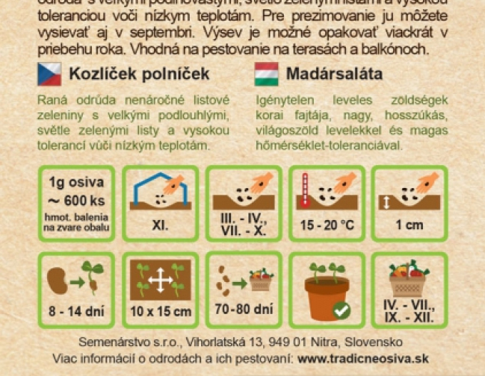 Valeriana de câmp ´Grote Noordholladse´