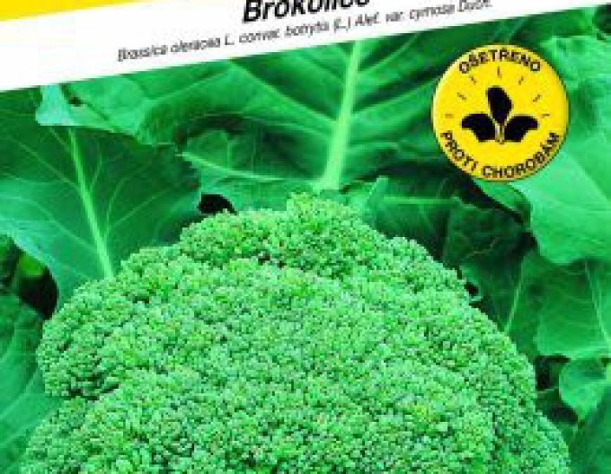 Semo Broccoli ´Calabresse´