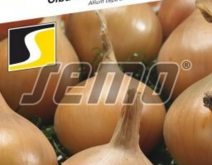 Semințe de ceapă ´Aeneus F1´