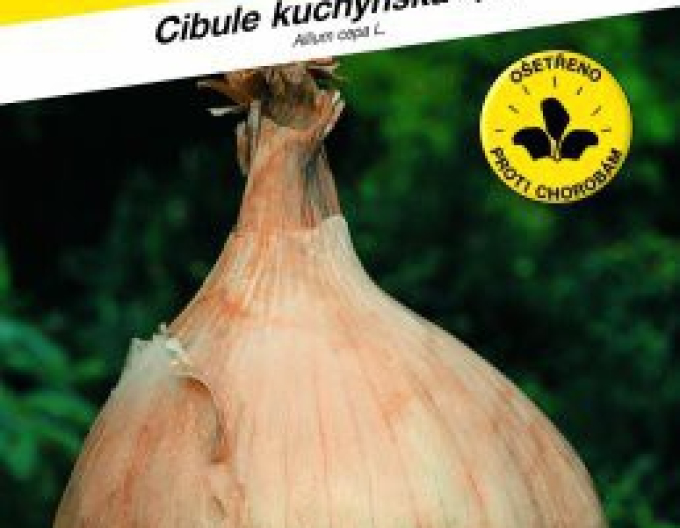 Semințe Ceapă de primăvară ´Globo´