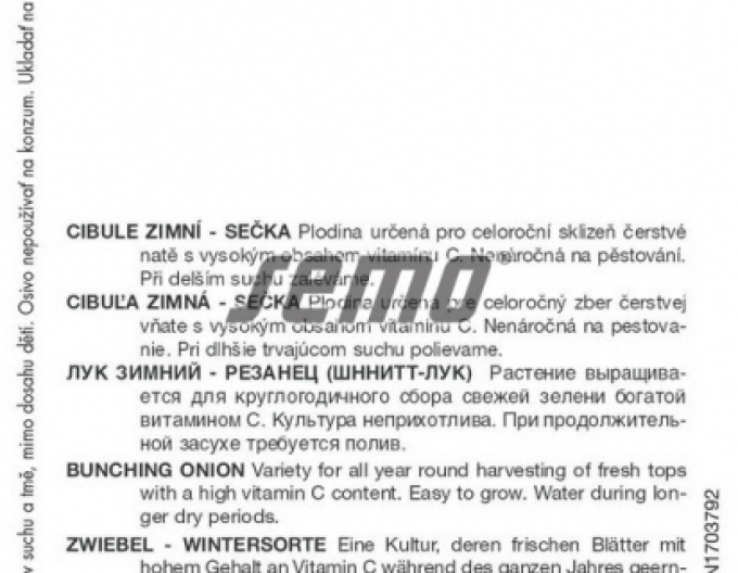 Semo Ceapă de iarnă "Kaj