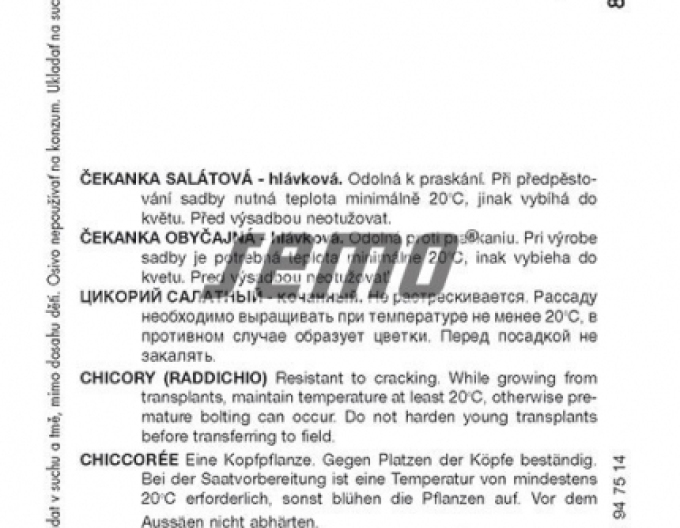 Semo Cicoare - salată ´Palla Rossa 3´