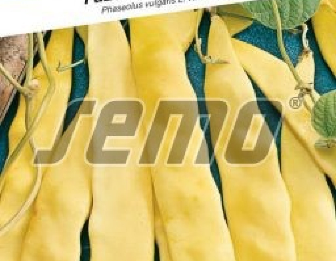 Semo Fasole cățărătoare ´Meraviglia Di Venezia´