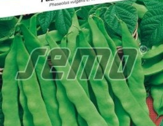 Semo Fasole cățărătoare ´Supermarconi Limca´