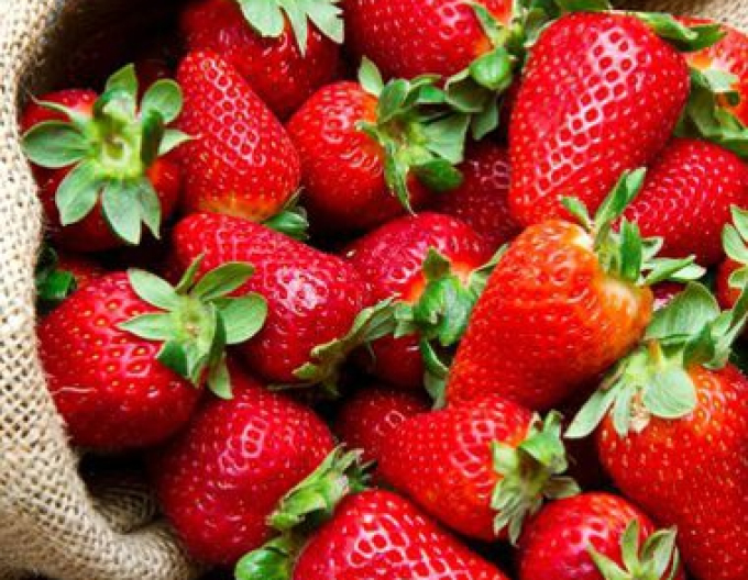 Căpșuni timpurii Daroyal