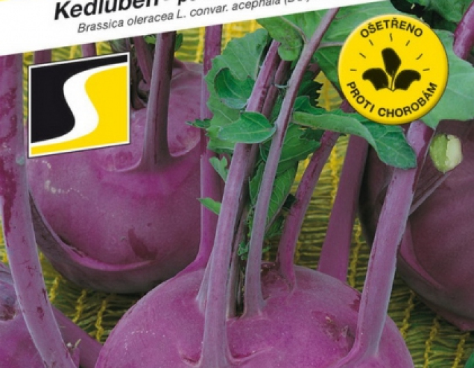 Semo Gulie ´Purpuran F1´