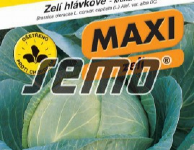 Semo Varză albă ´Megaton F1´