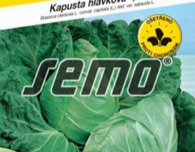 Semo Varză creață  Providence