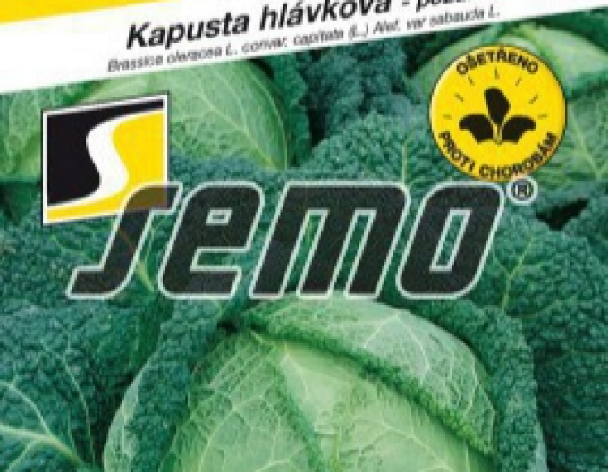 Semo Varză creață ´Vertus 2´