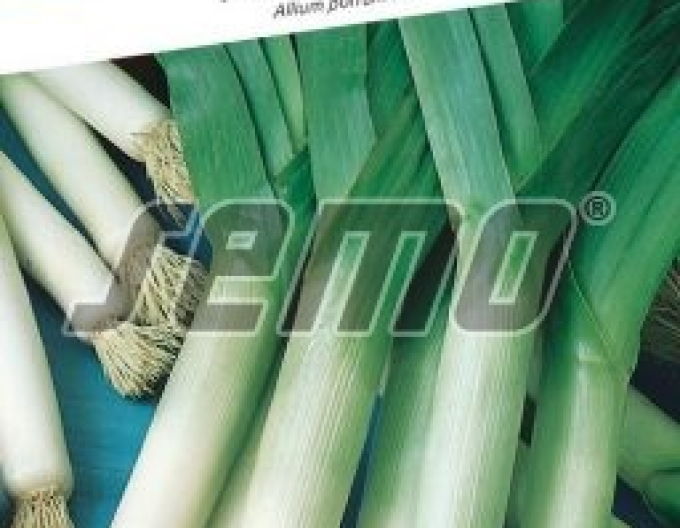 Semo Praz ´Gigante Suizo´