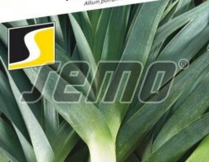 Semo Praz ´Odin F1´