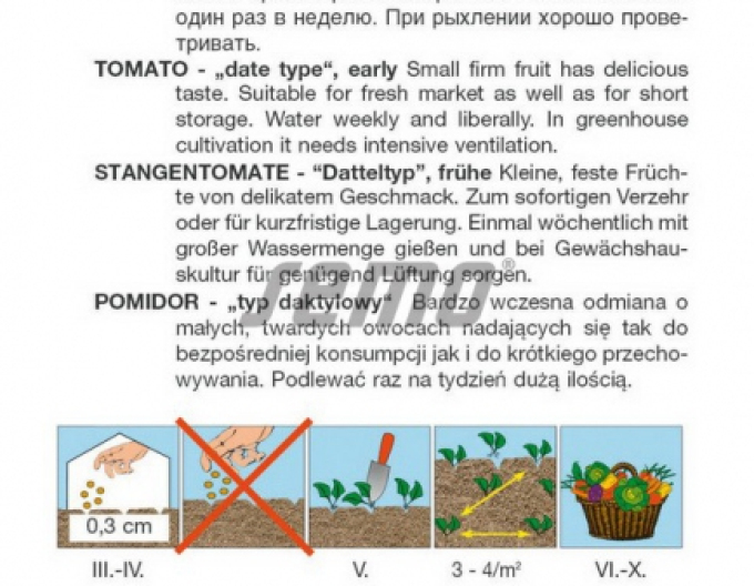 Semo Semințe de tomate cu tulpină "Datlo