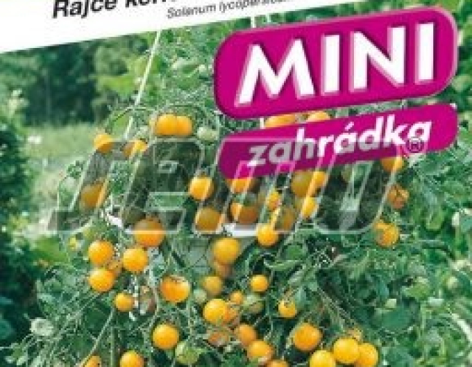 Semo Semințe de tomate pitice Tumbling Tom YELLOW