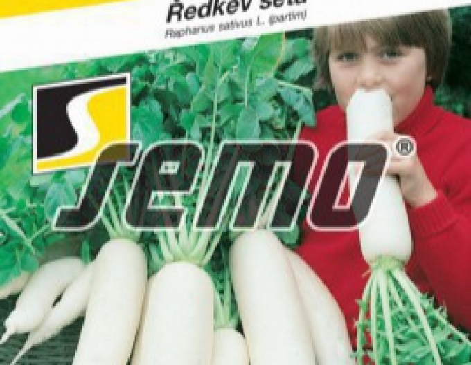 Semo Semințe de ridiche ´Japana F1´