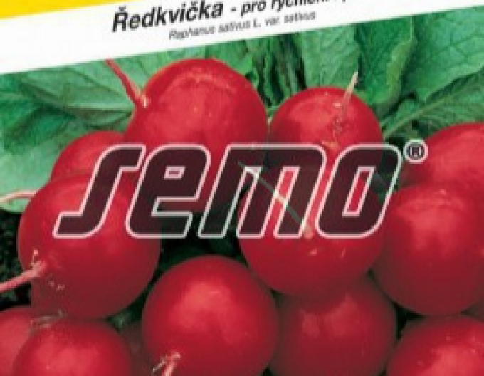 Semo Semințe de ridiche ´Granat´