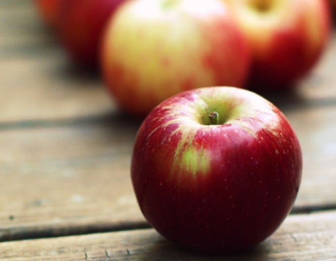 Măr Gala iarnă, sub. M26, mână liberă.