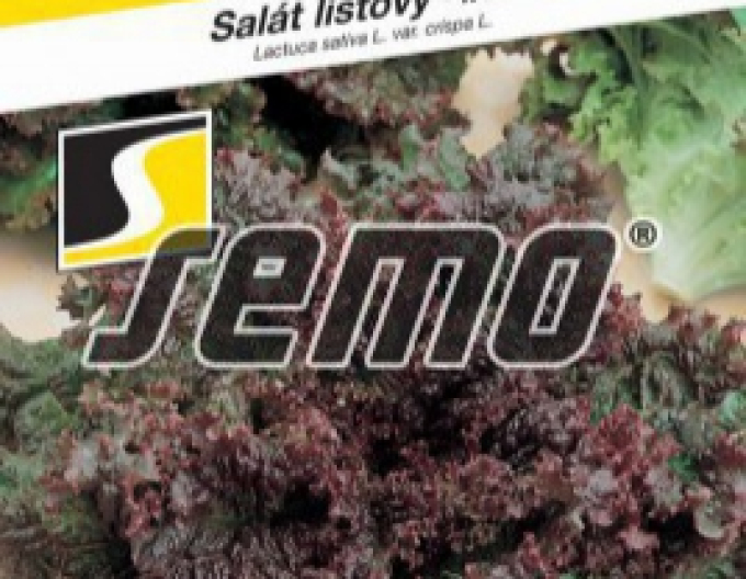 Semo Salată frunze ´Roden´
