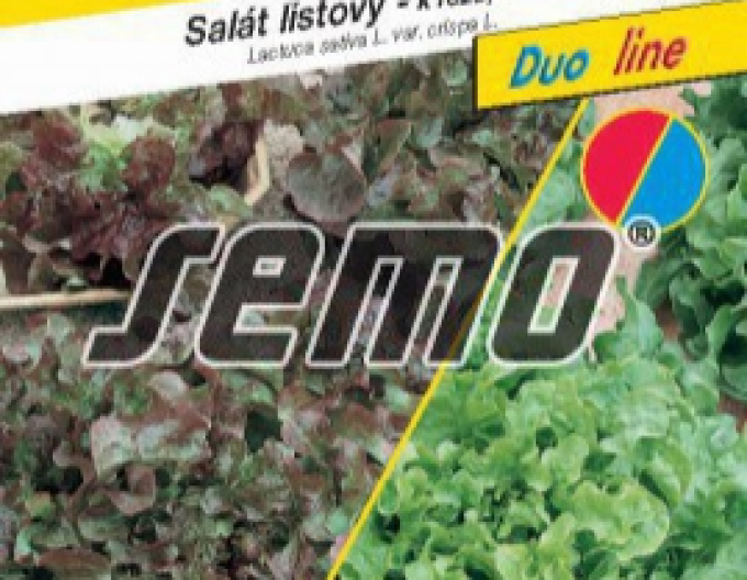 Semo Salată frunze  ´Bowl mix´