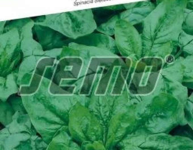 Semo Spanac ´Monores´