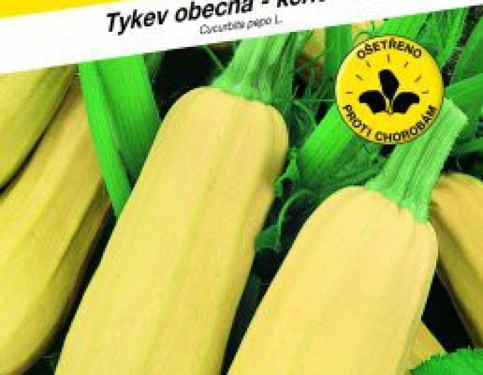 Semo Dovleac pitic ´Kveta´