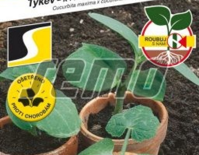 Semo Dovleac pentru altoire ´Bolt F1´