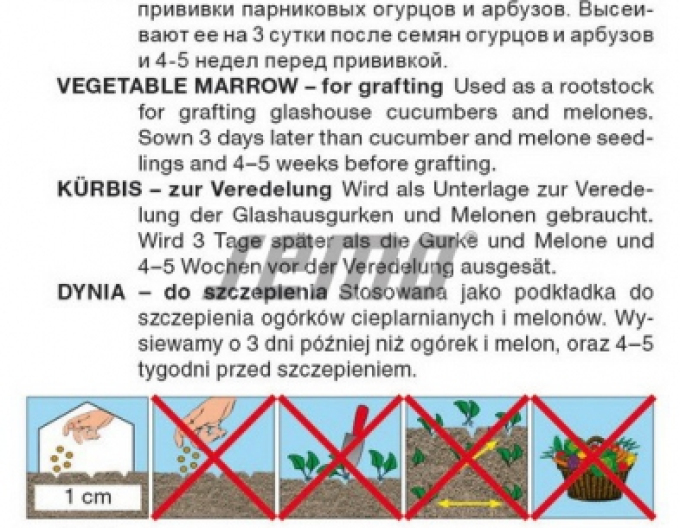 Semo Dovleac pentru altoire ´Bolt F1´