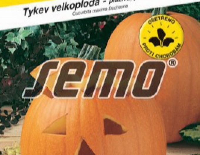 Semo Dovleac gigant ´Gran Gigante´