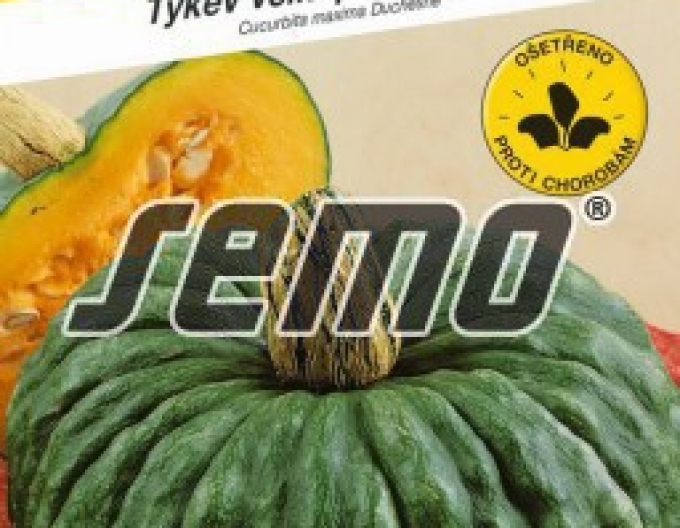 Semo Dovleac gigant  ´Marina di Chioggia´