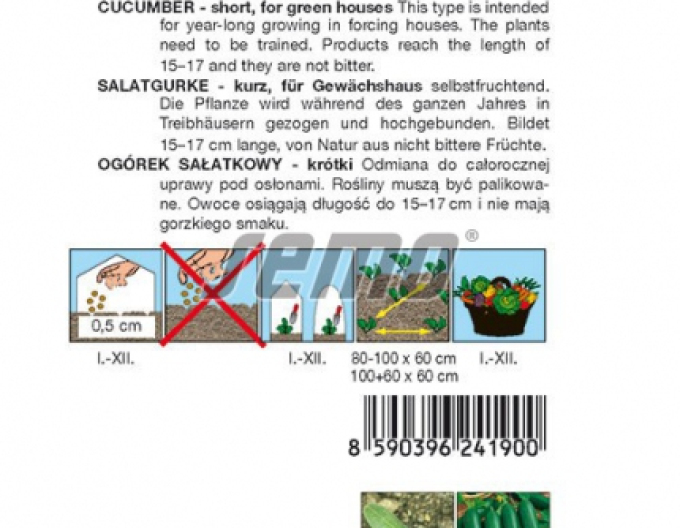 Semo Castravete cultivat pentru salată ´Baby F1´