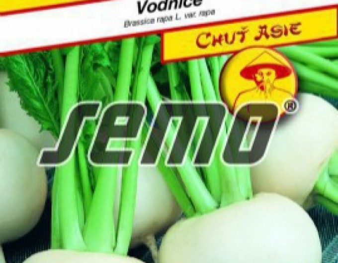 Semo Semințe de napi comestibil ´Tokyo Cross F1´