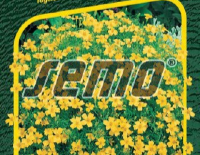 Semo Semințe de Tagetes  Yellow