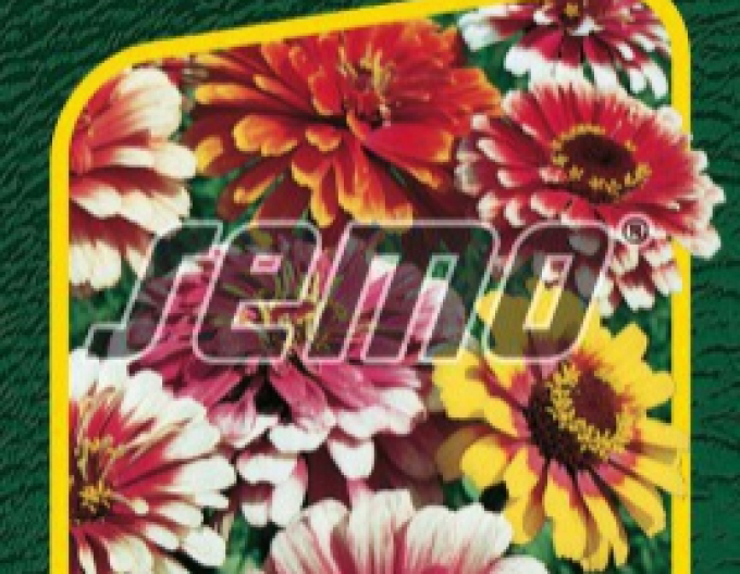 Semo Semințe de cârciumăreasă "Carousel