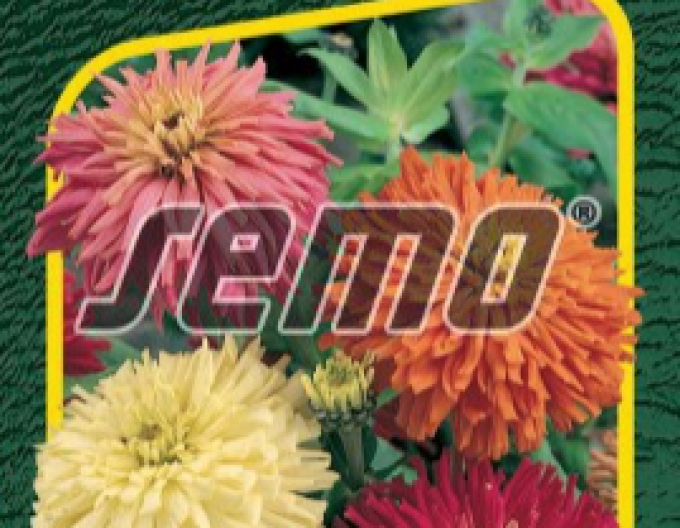 Semo Semințe de cârciumăreasă ´Mixtura´