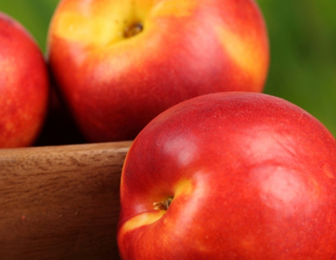 Nectarina "Stark Red Gold" târzie, portaltoi GF677, rădăcină liberă