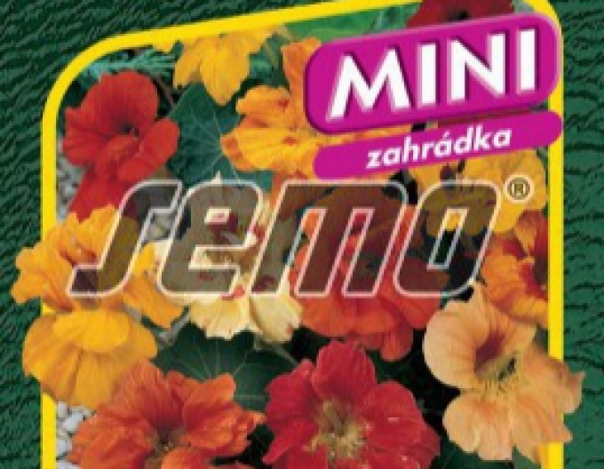 Semo semințe de capucina ´Bijou Double´