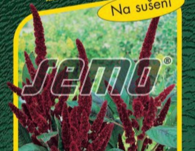 Semo Amaranthus ´Pygmy Torch´