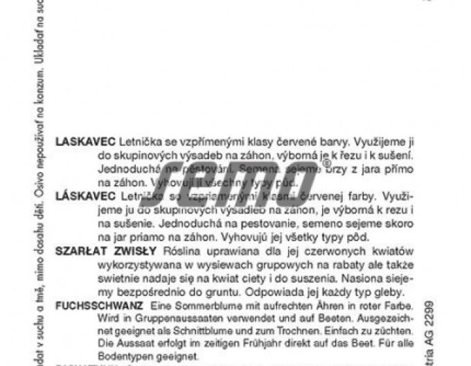 Semo Amaranthus ´Pygmy Torch´